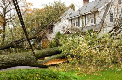 Storm damage restoration in Saint Augustine by DRT Restoration, LLC