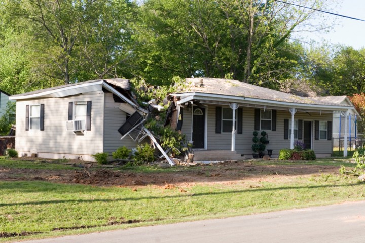 Fallen Tree Damage Restoration by DRT Restoration, LLC