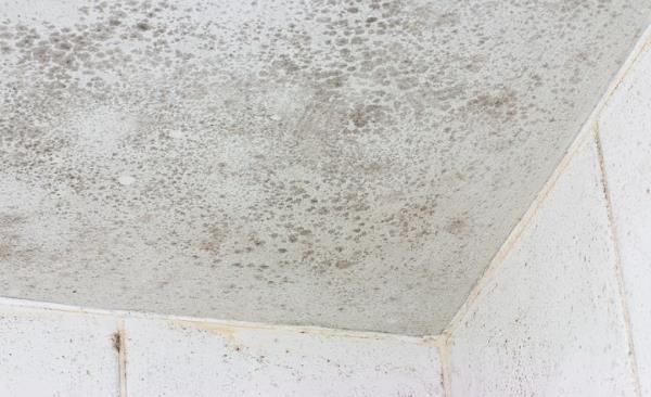 Mold Remediation by DRT Restoration, LLC